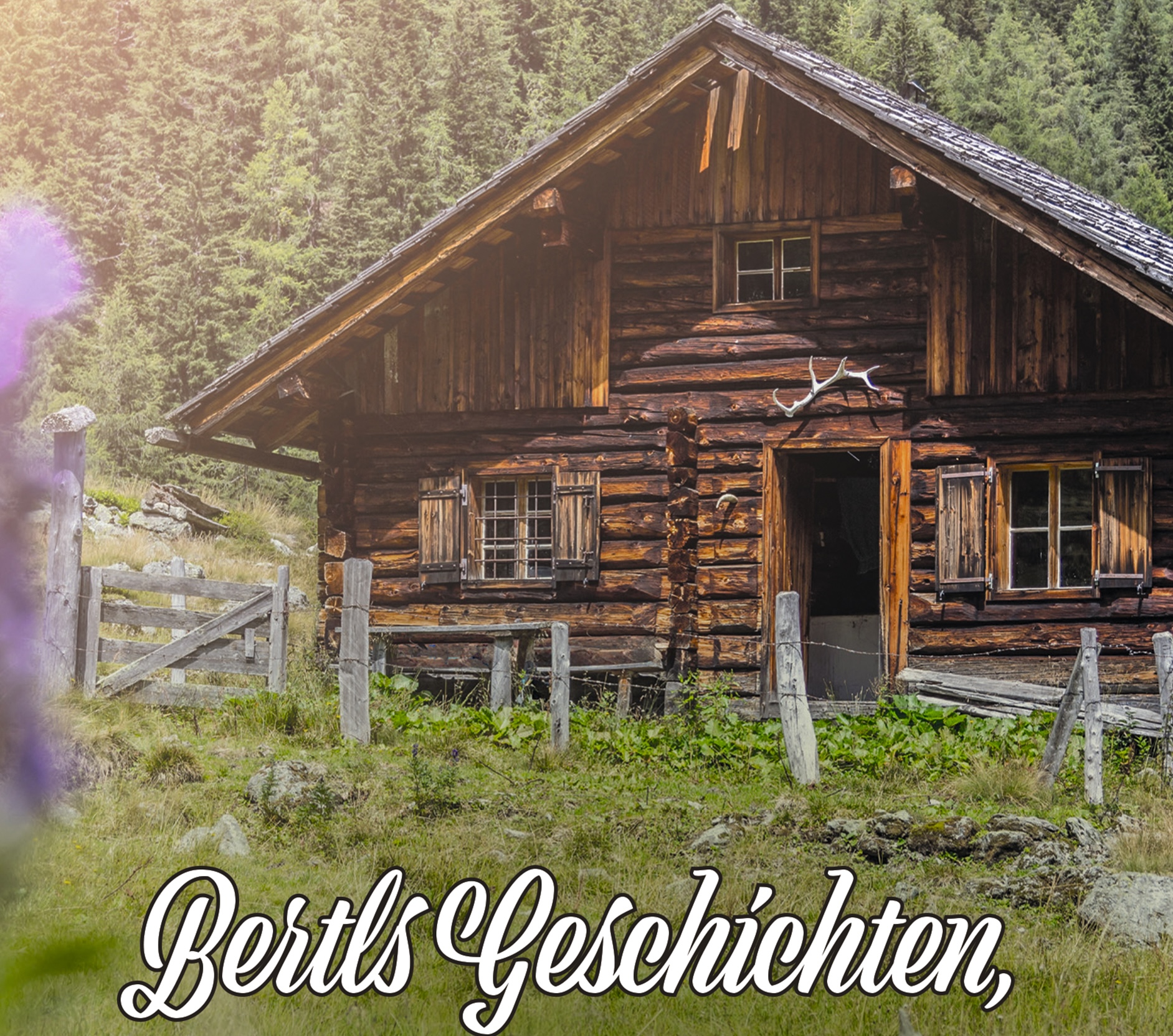 Geschichten, die das Leben schrieb