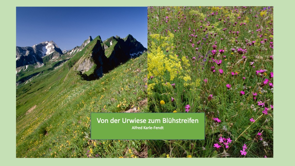 Blumen und Brötchen